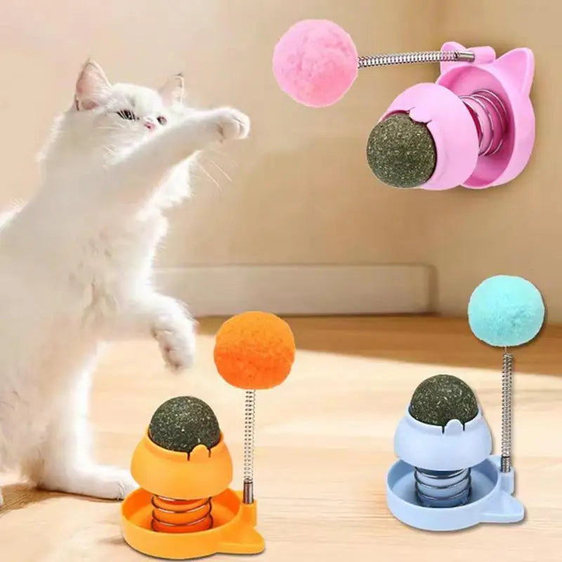 Catnip Ball for Cats Wall Rotatable Cat Licking Balls Edible and Healthy with Spring Ball Cat Licking Balls for Cats Catnip